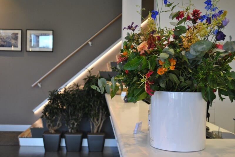 Wachtkamer Dierenkliniek Breda - vrolijke bloemen